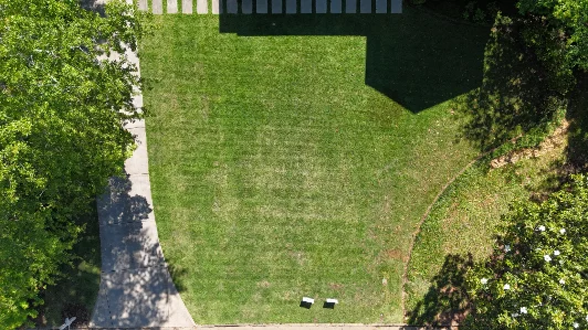 Same Atlanta lawn after soil-first treatment