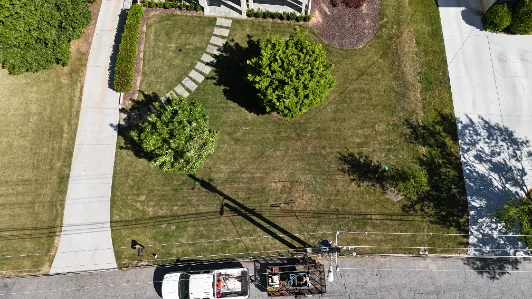 Atlanta lawn before Jacobs Turf treatment