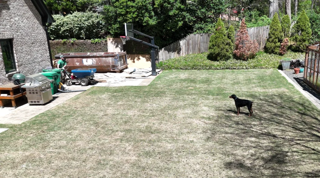 Atlanta lawn before Jacobs Turf treatment