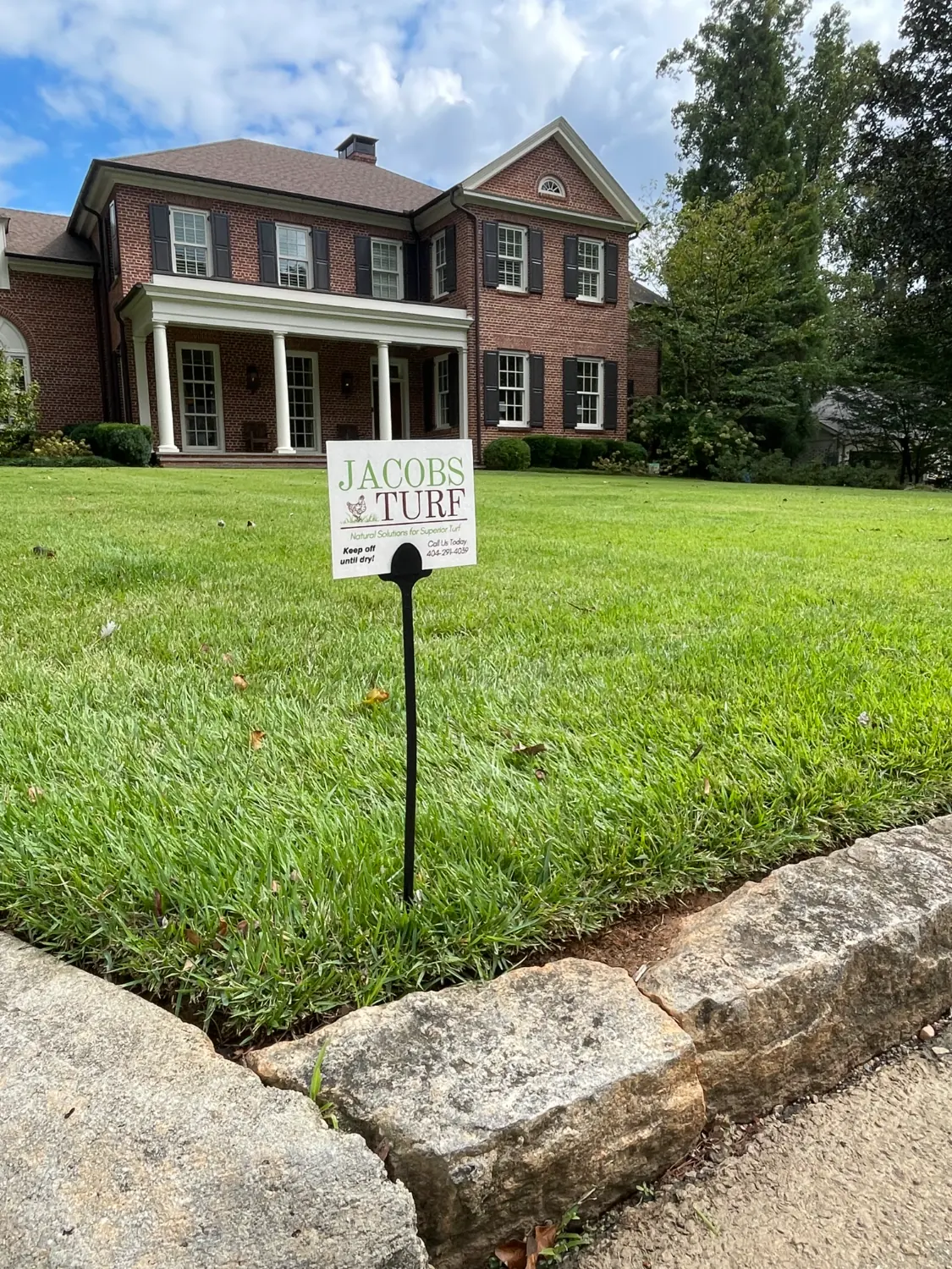 Natural fertilization and weed control on an Atlanta lawn
