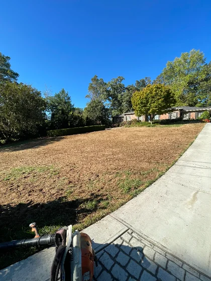 Atlanta lawn before aeration and overseeding — thin, patchy fall turf